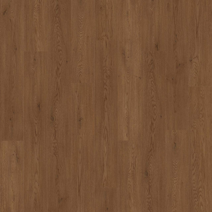 Transform High Density Fiberboard Laminate Tempo 9906 Laminate Wood Plank Embossed 1