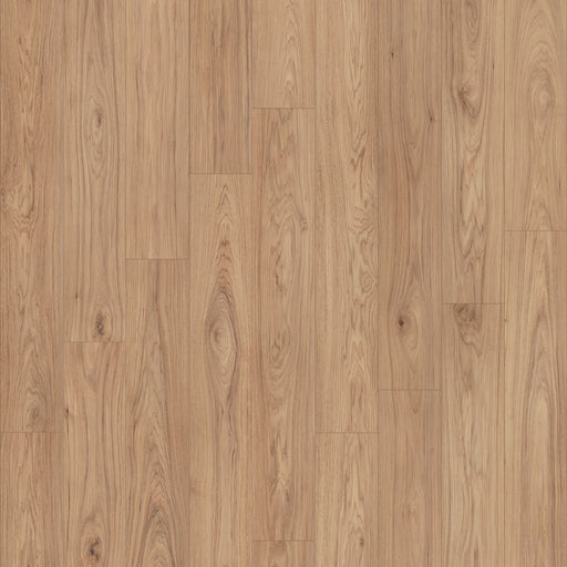 Transform High Density Fiberboard Laminate Reverb 9905 Laminate Wood Plank Embossed 1