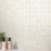Relicca Pristine Ceramic Mosaic - 2" x 2" Octagon
