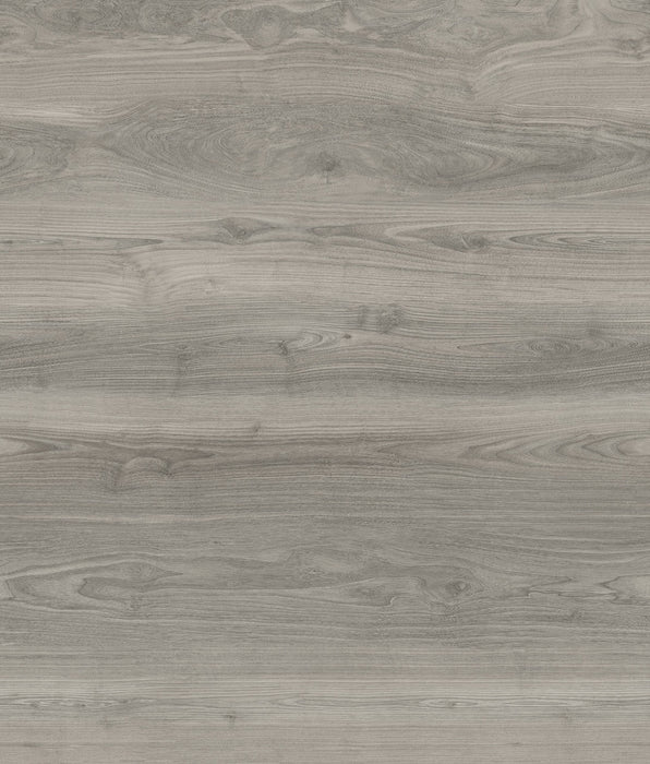DeGradus Vinyl Gleason Gray C29 Vinyl Plank Embossed 1