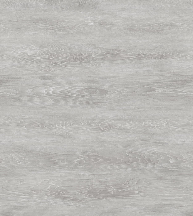 DeGradus Vinyl Silver Steele C17 Vinyl Plank Embossed 1