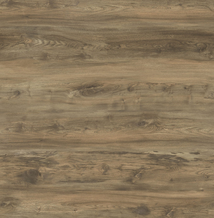 DeGradus Vinyl Taylor Taupe C13 Vinyl Plank Embossed 1