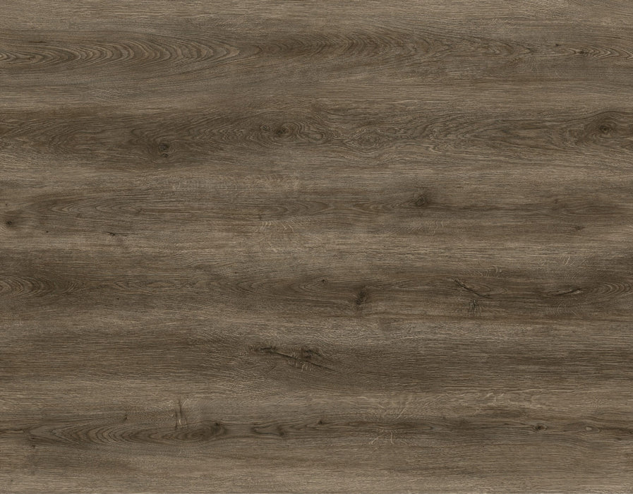 DeGradus Vinyl Raegan Lane C05 Vinyl Plank Embossed 1