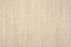Daydream Wool Blend Pearl 26432 Carpet Textured 1