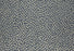 Ditto Wool Blend Marine 16496 Carpet Pattern 1