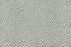Ditto Wool Blend Pistachio 16494 Carpet Pattern 1