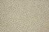 Ditto Wool Blend Wheat 16495 Carpet Pattern 1