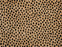 Dottie Polypropylene Bronze 97508 Carpet Textured 1