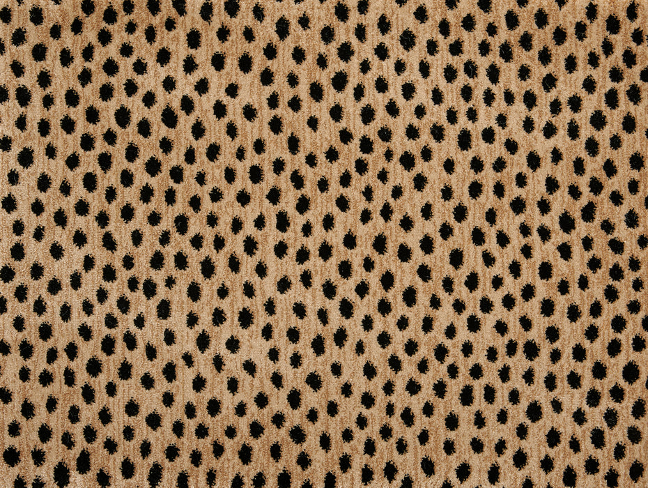 Dottie Polypropylene Bronze 97508 Carpet Textured 1