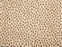 Dottie Polypropylene Desert 97507 Carpet Textured 1