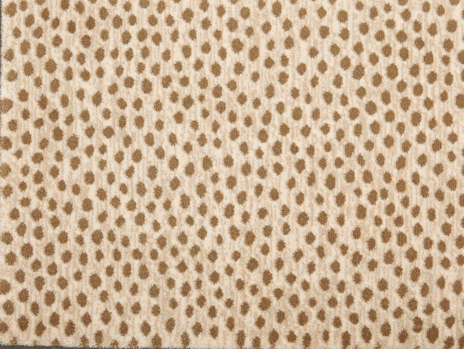 Dottie Polypropylene Desert 97507 Carpet Textured 1