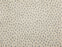 Dottie Polypropylene Silver 97506 Carpet Textured 1