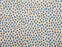 Dottie Polypropylene Waterfall 97501 Carpet Textured 1