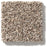 Carmel Coast Dry Dock Nylon Carpet - Textured