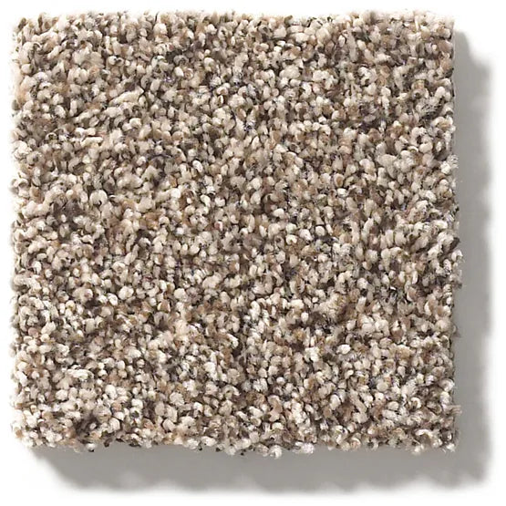 Carmel Coast Dry Dock Nylon Carpet - Textured