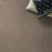 Carmel Coast Dry Dock Nylon Carpet - Textured