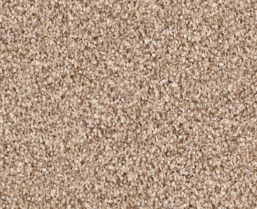 Exploration Caravan 00701