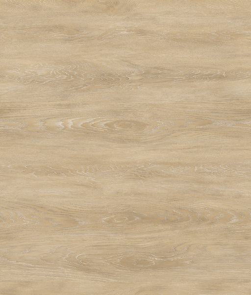 Radius Vinyl Elwood C20 Vinyl Plank Embossed 1