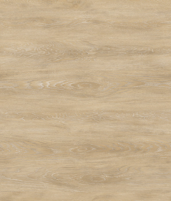 Radius Vinyl Elwood C20 Vinyl Plank Embossed 1