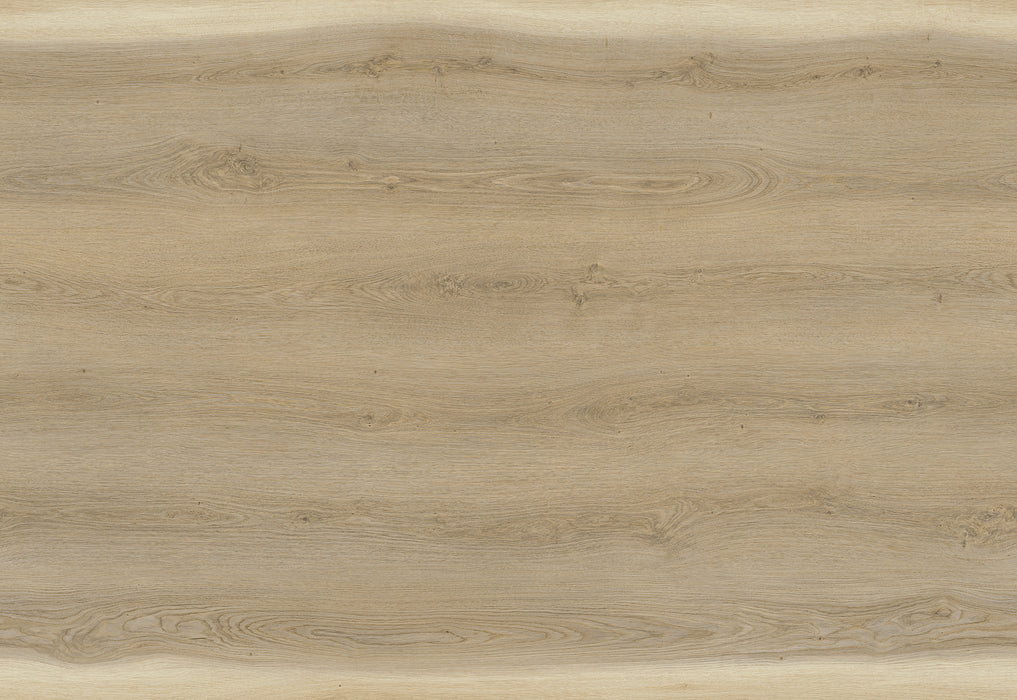 Compass Vinyl Albuquerque 02 Vinyl Plank Embossed 1