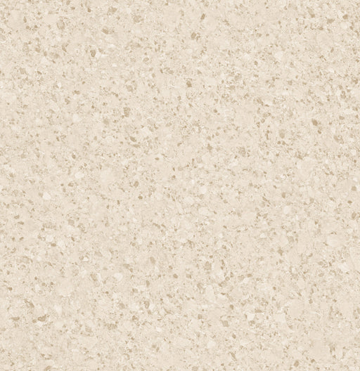 Compass Vinyl Tampa Bay C11 Vinyl Tile Embossed 1