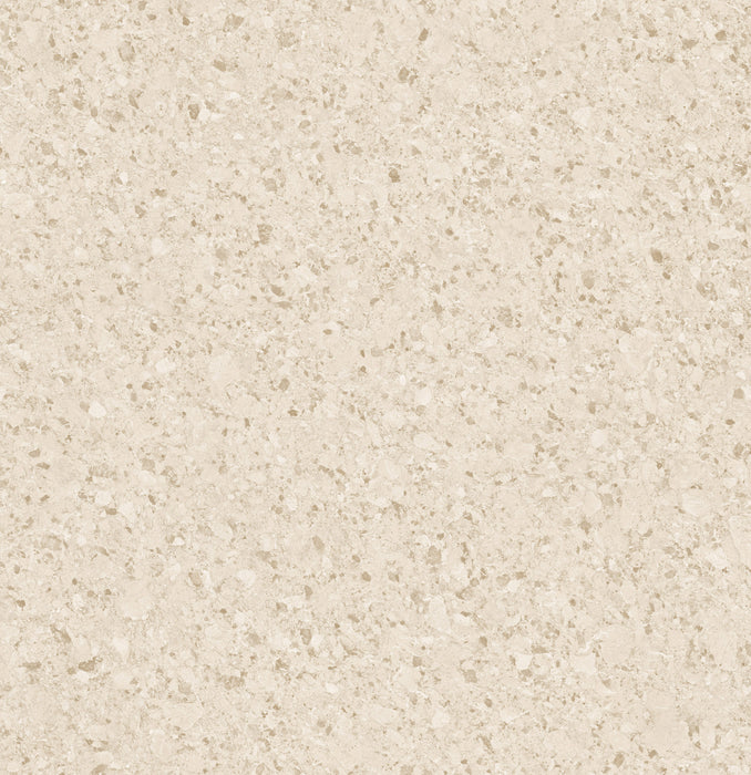 Compass Vinyl Tampa Bay C11 Vinyl Tile Embossed 1