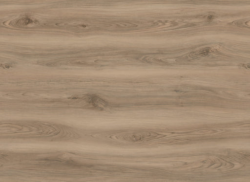 Compass Vinyl Raleigh C08 Vinyl Plank Embossed 1
