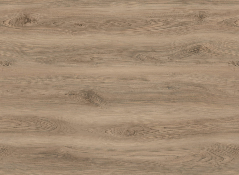 Compass Vinyl Raleigh C08 Vinyl Plank Embossed 1