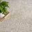 Envy Polypropylene & Polyester Ivory Grey EVV01 IVGRY