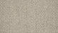 Elegance Wool Platinum PLATI Carpet Textured 1