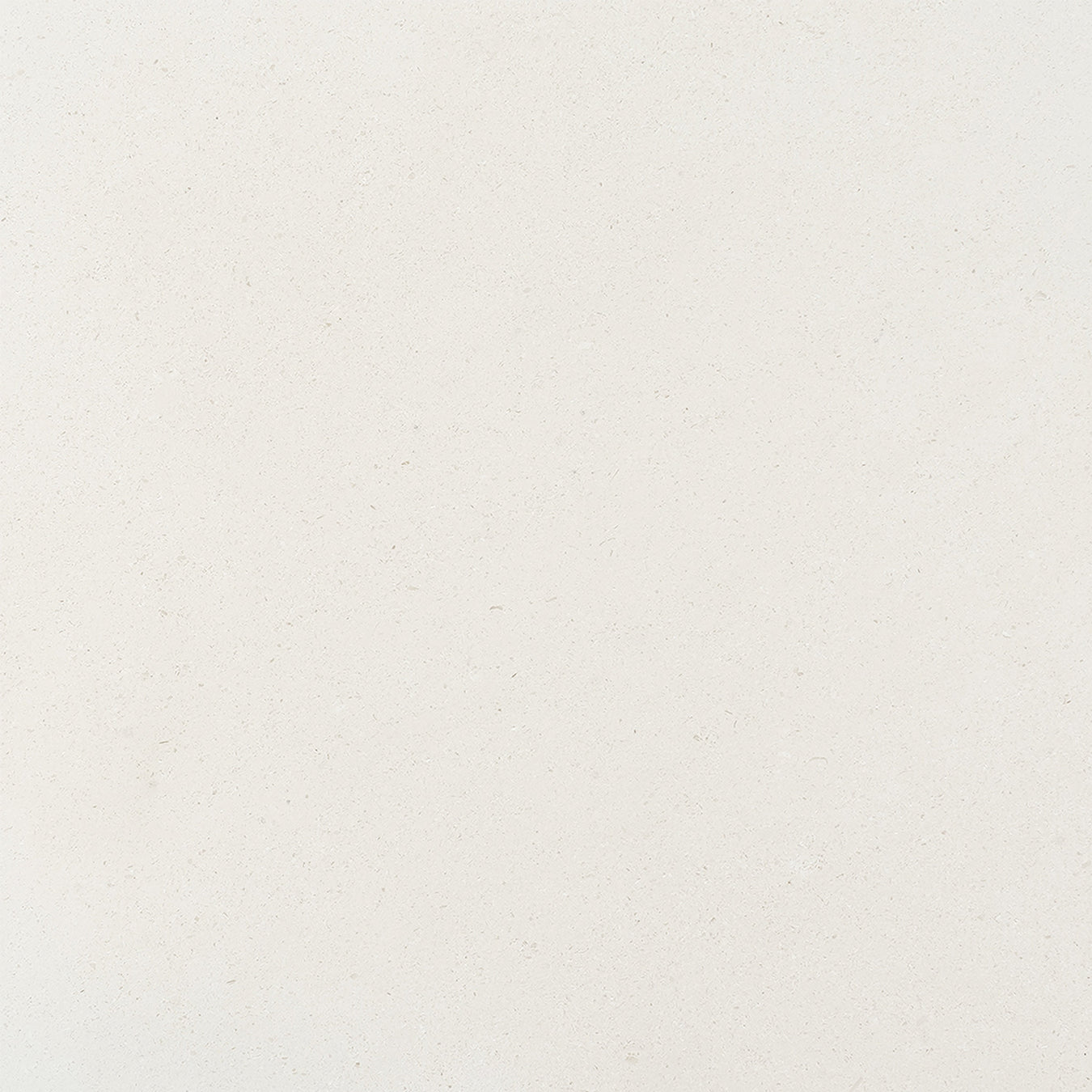 18 x 18 Polished Beige Limestone