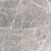 Full Tile Sample - Altara Regal Porcelain Tile - 24'' x 24" x 8 MM Polished