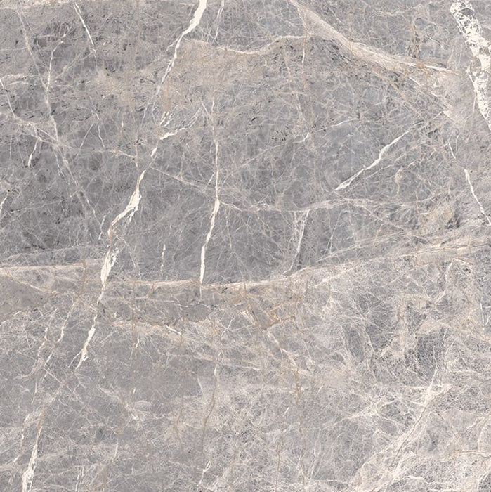 Full Tile Sample - Altara Regal Porcelain Tile - 24'' x 24" x 8 MM Polished