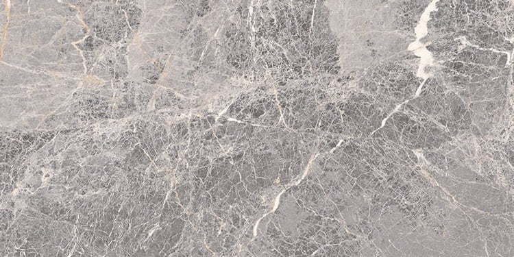 Full Tile Sample - Epic Imperial Porcelain Tile - 12" x 24" x 8 MM Polished