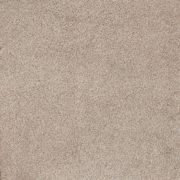 Eternal Beauty Polypropylene Parchment Carpet Textured 1