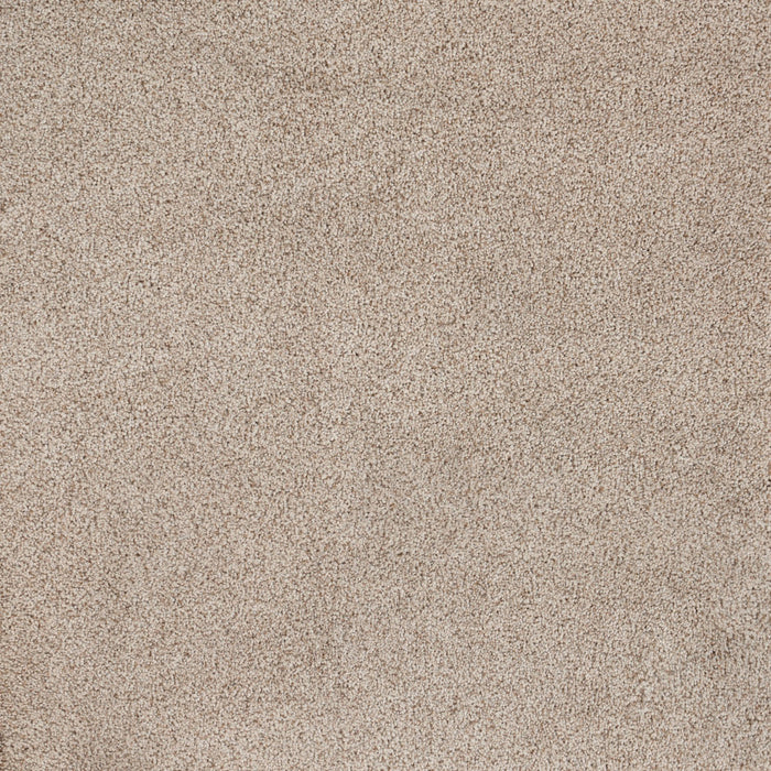 Eternal Beauty Polypropylene Parchment Carpet Textured 2