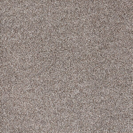 Eternal Beauty Polypropylene Ancient Earth Carpet Textured 1