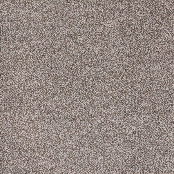 Eternal Beauty Polypropylene Ancient Earth Carpet Textured 1