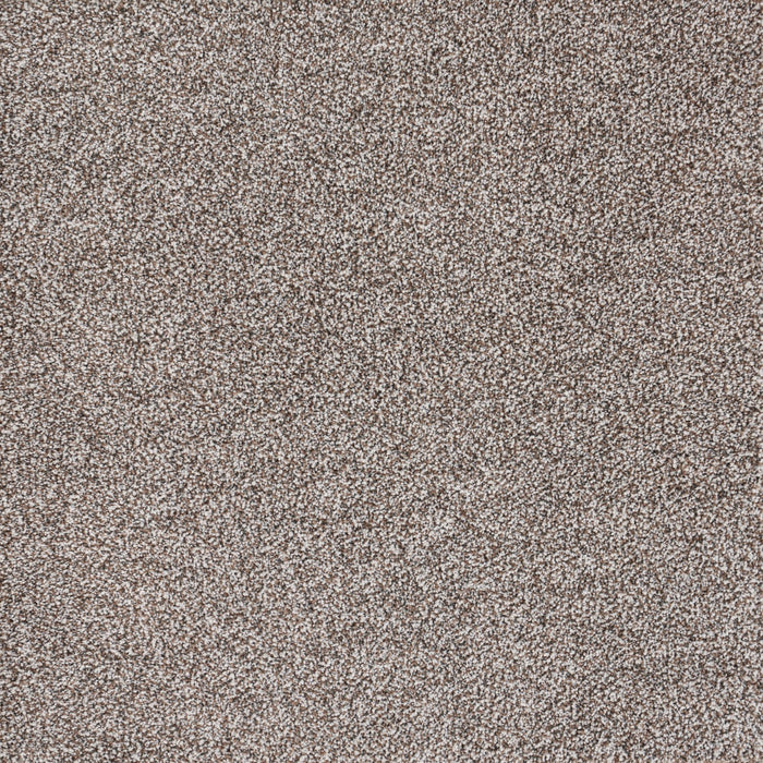 Eternal Comfort Polypropylene Ancient Earth Carpet Textured 2