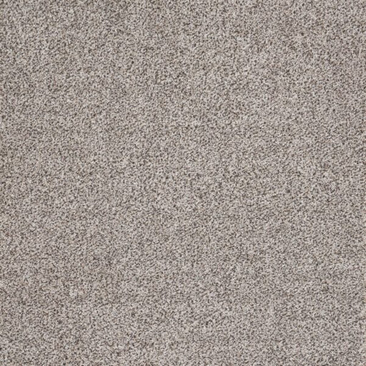 Eternal Comfort Polypropylene Heirloom Grey Carpet Textured 1