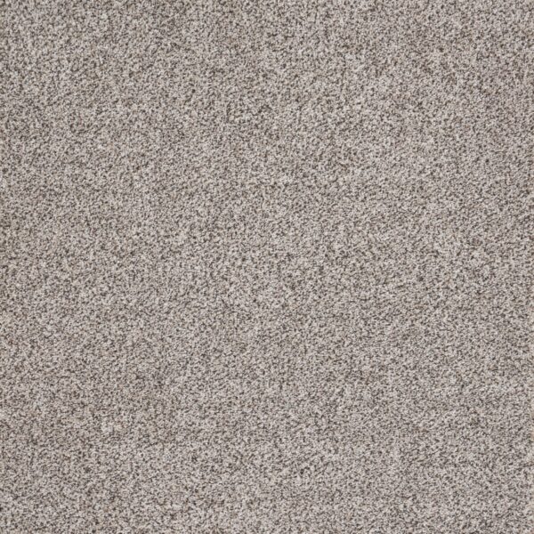 Eternal Beauty Polypropylene Heirloom Grey Carpet Textured 1