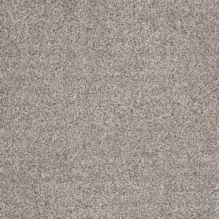 Eternal Comfort Polypropylene Heirloom Grey Carpet Textured 2
