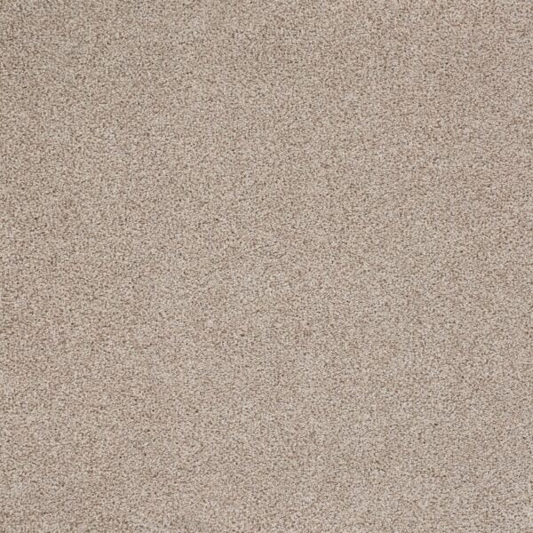 Eternal Beauty Polypropylene Classic Ivory Carpet Textured 1