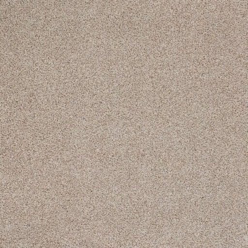Eternal Comfort Polypropylene Classic Ivory Carpet Textured 1