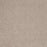 Eternal Beauty Polypropylene Classic Ivory Carpet Textured 2