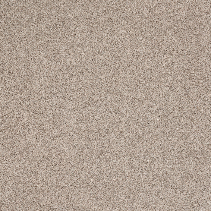Eternal Beauty Polypropylene Classic Ivory Carpet Textured 2