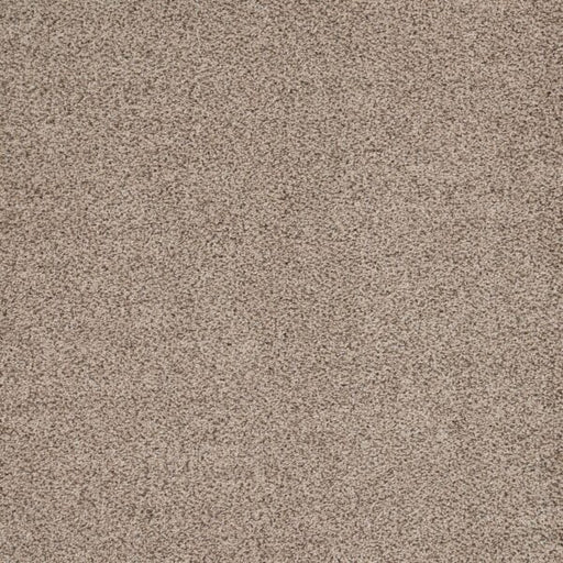 Eternal Comfort Polypropylene Aged Linen Carpet Textured 1
