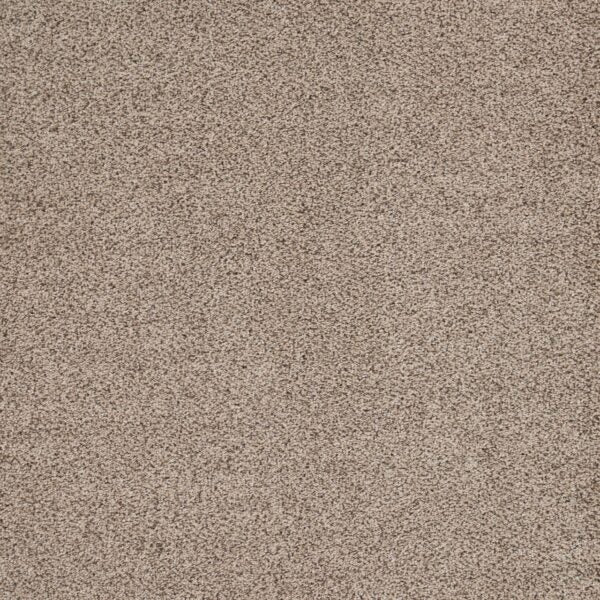 Eternal Beauty Polypropylene Aged Linen Carpet Textured 1