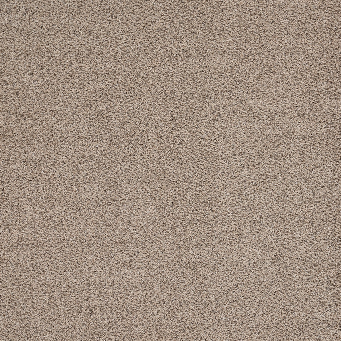 Eternal Comfort Polypropylene Aged Linen Carpet Textured 2