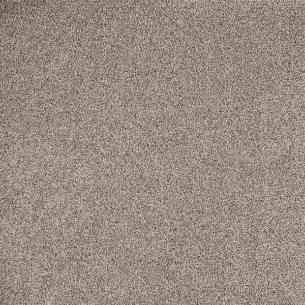 Eternal Comfort Polypropylene Timeless Stone Carpet Textured 1